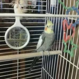 Meet your Posher, Annette